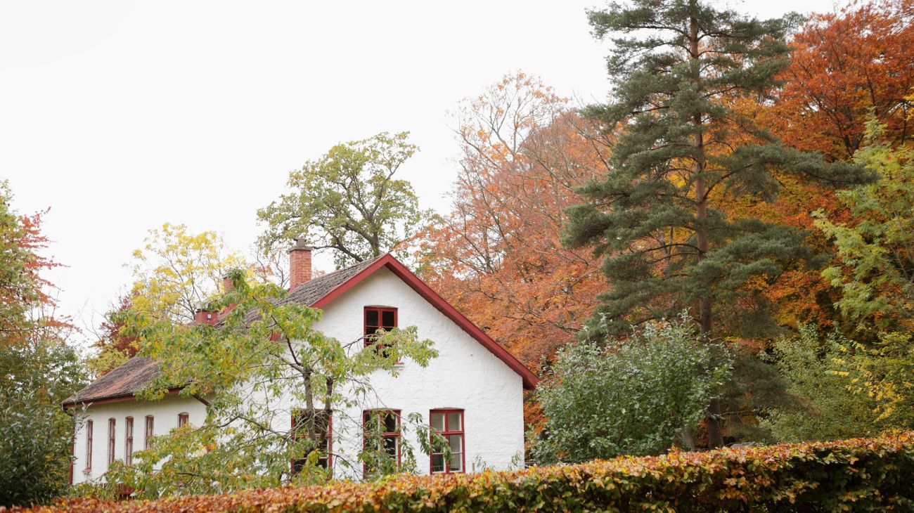 Desconecta con la naturaleza: 5 razones para elegir el turismo rural este verano